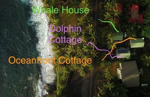 Whale House at Kehena Beach - Foto 15