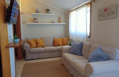 T2 Moliceiros Torreira vista Ria - Foto 12