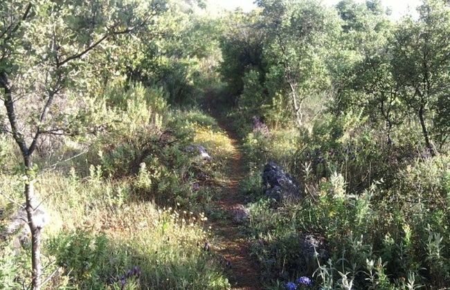 Casa Do Forno - Quinta Amoreira - Foto 17