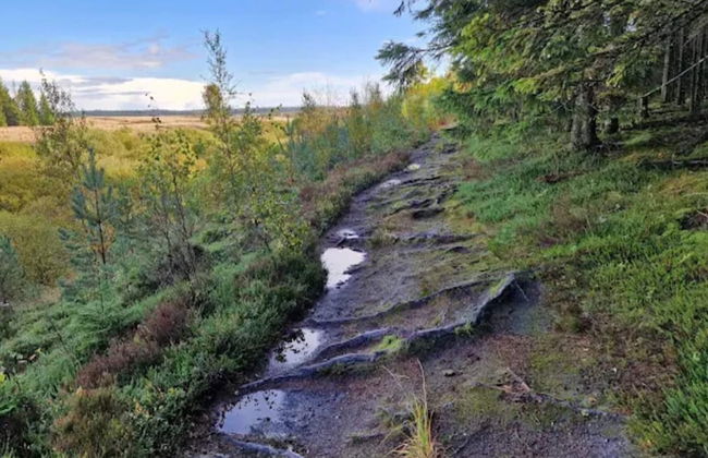 4 Star Holiday Home in Brande - Foto 44