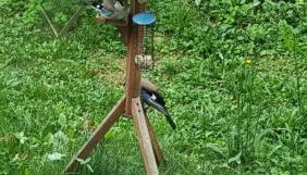 Ferienwohnung Streckhofidylle - Foto 4