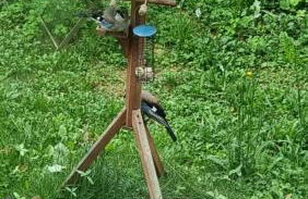 Ferienwohnung Streckhofidylle - Foto 4