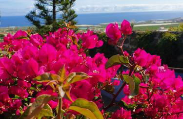 Finca las Mariposas - Foto 20