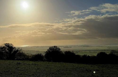 Piglets Place - Photo 43