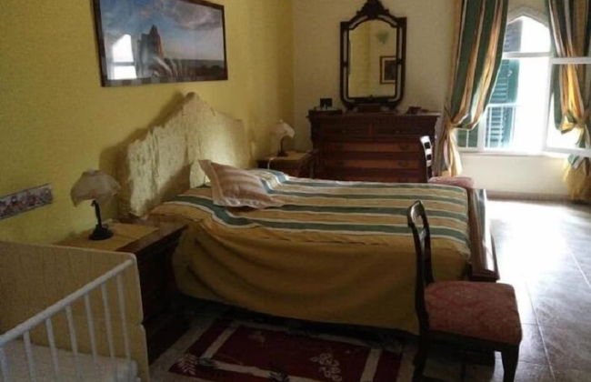 Gecko's House - Foto 7