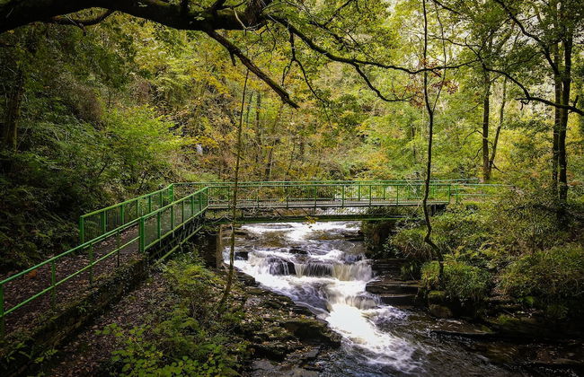 Beili Glas Cottage - Photo 18
