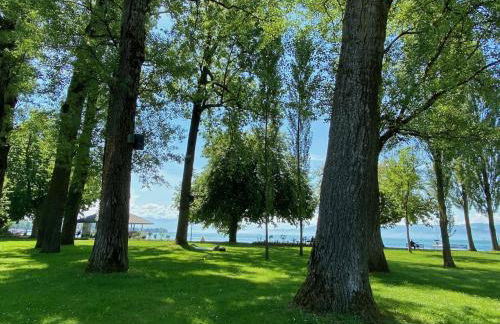 Ferienwohnung Seeufer - Exklusiv direkt am See mit großer Terrasse in Kressbronn - Foto 23
