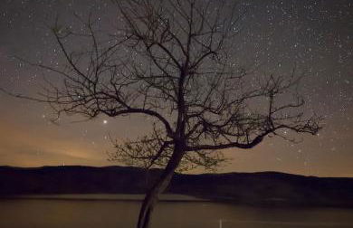 Casa Rural SPA El Rincón de Palmacio - Foto 8