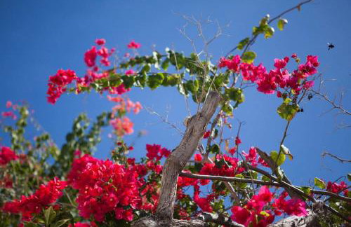 Casa encantadora com Vista Mar na Caponga - Foto 45