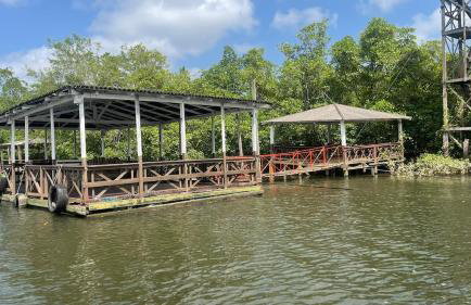 COP30 - Belém - Refúgio perfeito em Benfica-Pará - Photo 15