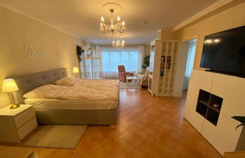 Ferienwohnung „Die 3 am Rhein“ - Foto 7