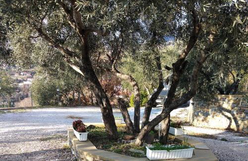 καλύβη - Foto 26
