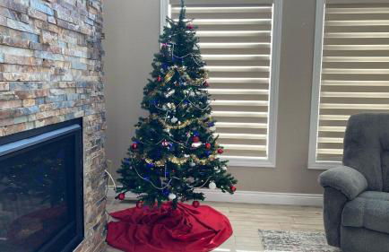 Luxury Home on Cove with Boat Slips, Waterslides, and Jump Deck - Foto 2