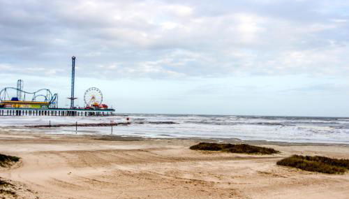 Paradise At Last - Photo 2