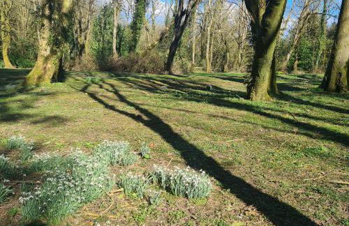 Sandpiper Cottage - Foto 23