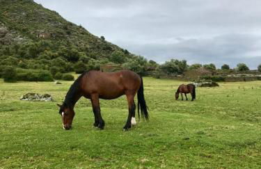 Casa Rural Las Jañonas CC-CR-00219 - Foto 54