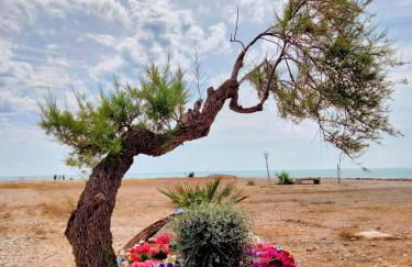 Apartamento Moncofa - Foto 32