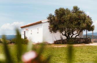 Auberge Santu Martine: Cottage with Pool (Manca) - Foto 79