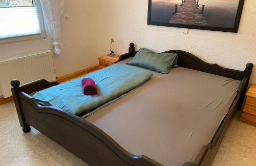 Steinhuder Meer Ferienhaus Schwalbennest - Foto 9