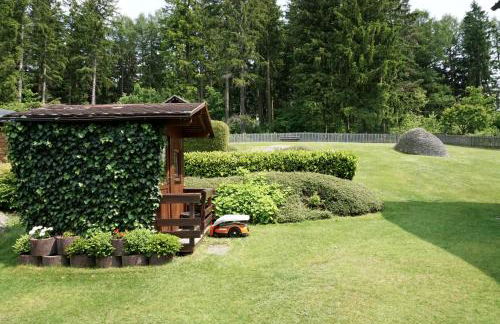 Panorama Apart Fichtelberg - Foto 9