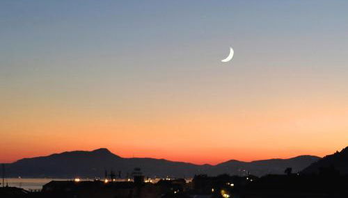 Seagulls, Elegance and Freedom - Foto 4