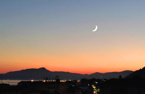 Seagulls, Elegance and Freedom - Foto 4