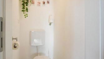 House of the Rising Fun - Foto 3