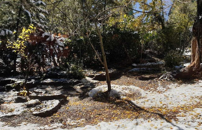 Chalet Ifrane - Foto 28