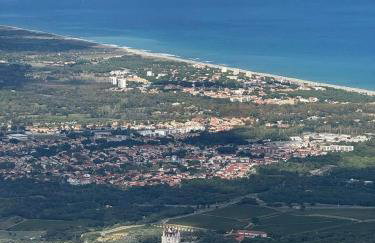 Le petit castor - Foto 26