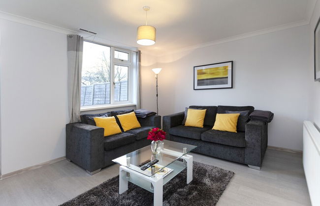 Mega Shelley - Foto 22