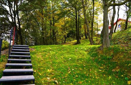 Apartamenty pod Dębami - noclegi Beskid Niski - Foto 33