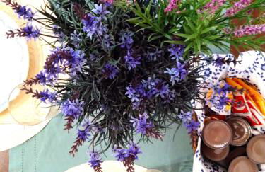 Casa Alice - Foto 11