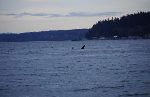 Beach House at Whidbey Shores - Photo 50