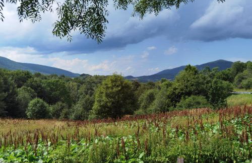 Akacja Apartament - Foto 34