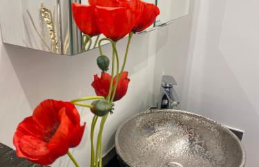 Paris-Zénith-bienvenue-terrasse-Netflix - Foto 15