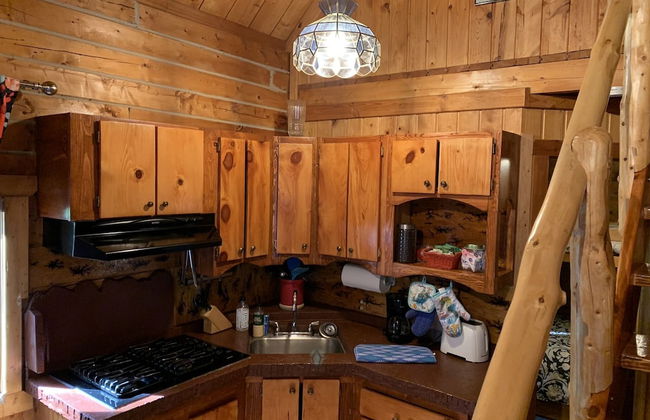 Joy's Kenai River Cabins - Foto 35