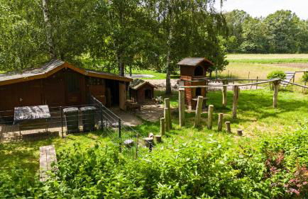 Ferienhof Falkenau - Foto 31