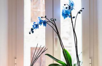 La terrazza sul lago Turano - Foto 65