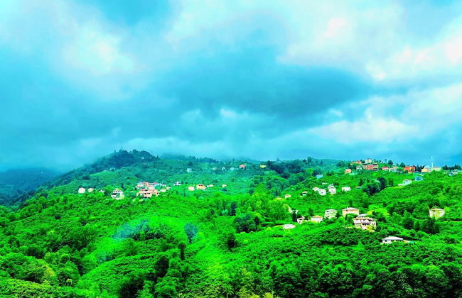 Five Stars Apart Bungalov - Foto 47