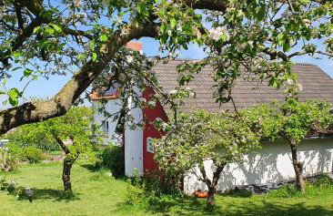 Haus Hinz Fe-Wo an der Ostsee - Foto 26