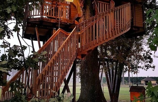 Agriturismo Relais Tenuta il Cigno - Foto 59