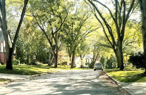 Exclusive Ottawa Hills Private Home, Garage, WD, Gourmet Equipped kitchen, Netflix - Foto 23