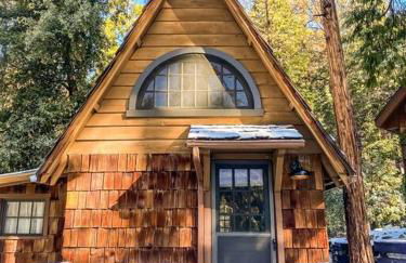 Wildland Zen Den Tiny House Retreat with Fireplace Grill AC Hammock Record Player Musical Instruments Pets OK - Foto 37