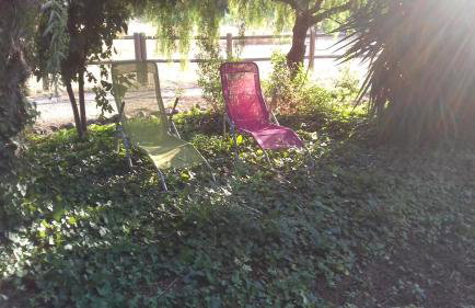 Mas Fany et Olivier - Foto 18