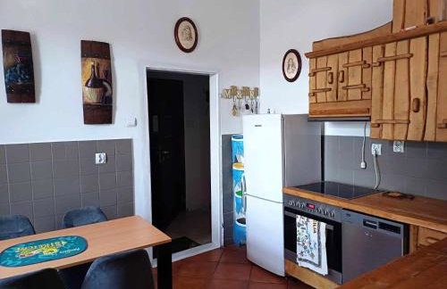 Gospodarstwo Agroturystyczne Dworek Andrzejówka - Foto 9