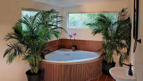 Secluded Cabin Rental with Jacuzzi for Romantic Weekend Getaway near Austin, Texas - Foto 5