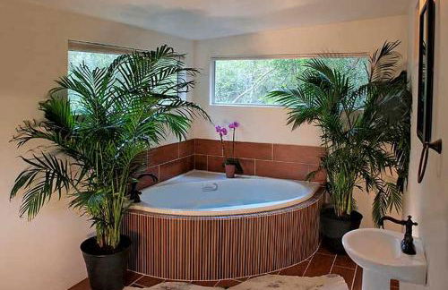 Secluded Cabin Rental with Jacuzzi for Romantic Weekend Getaway near Austin, Texas - Foto 5
