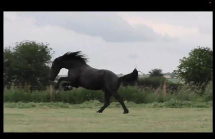 Luxury Old Stone Cottage, Beautifully Presented - Photo 38