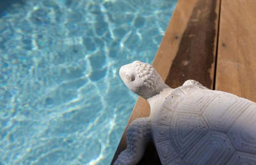 Dolce Vita Piscine - Photo 73