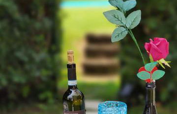 Private Garden Giardino Privato a Bardolino - House Amorino - Foto 1